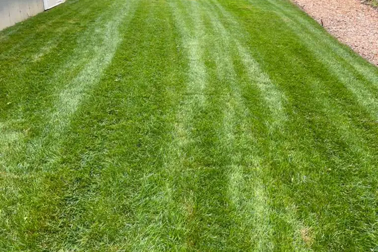 Lawn mowed with clean stripes beside a house