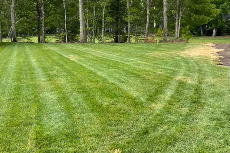 Wide lawn freshly mowed on a Cape Cod property